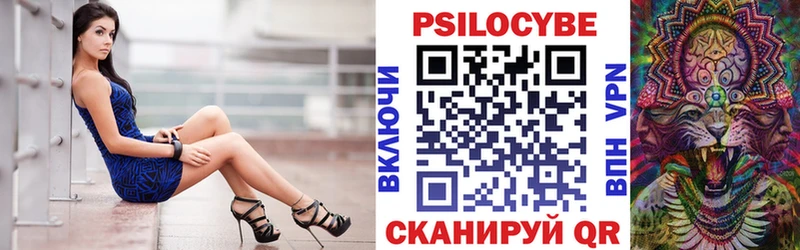 купить   Ермолино  hydra вход  Псилоцибиновые грибы мухоморы 